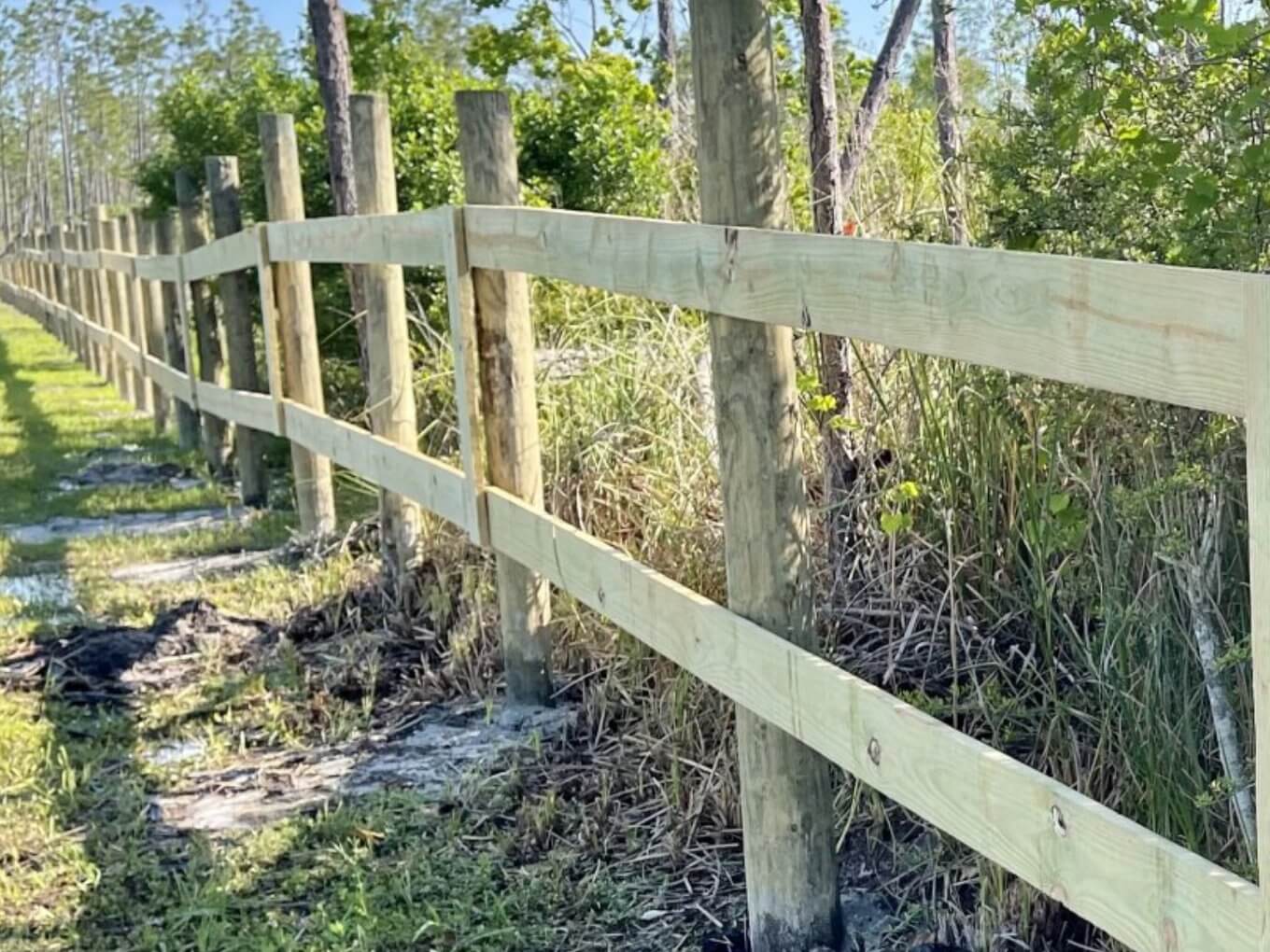 Natural wood post-and-rail fence with rounded posts along a grassy area with trees