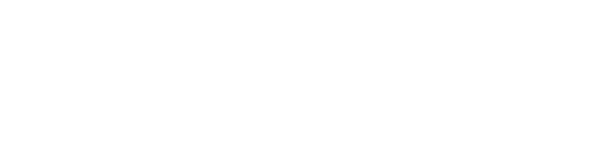 EXPERT Professional Wood Care logo