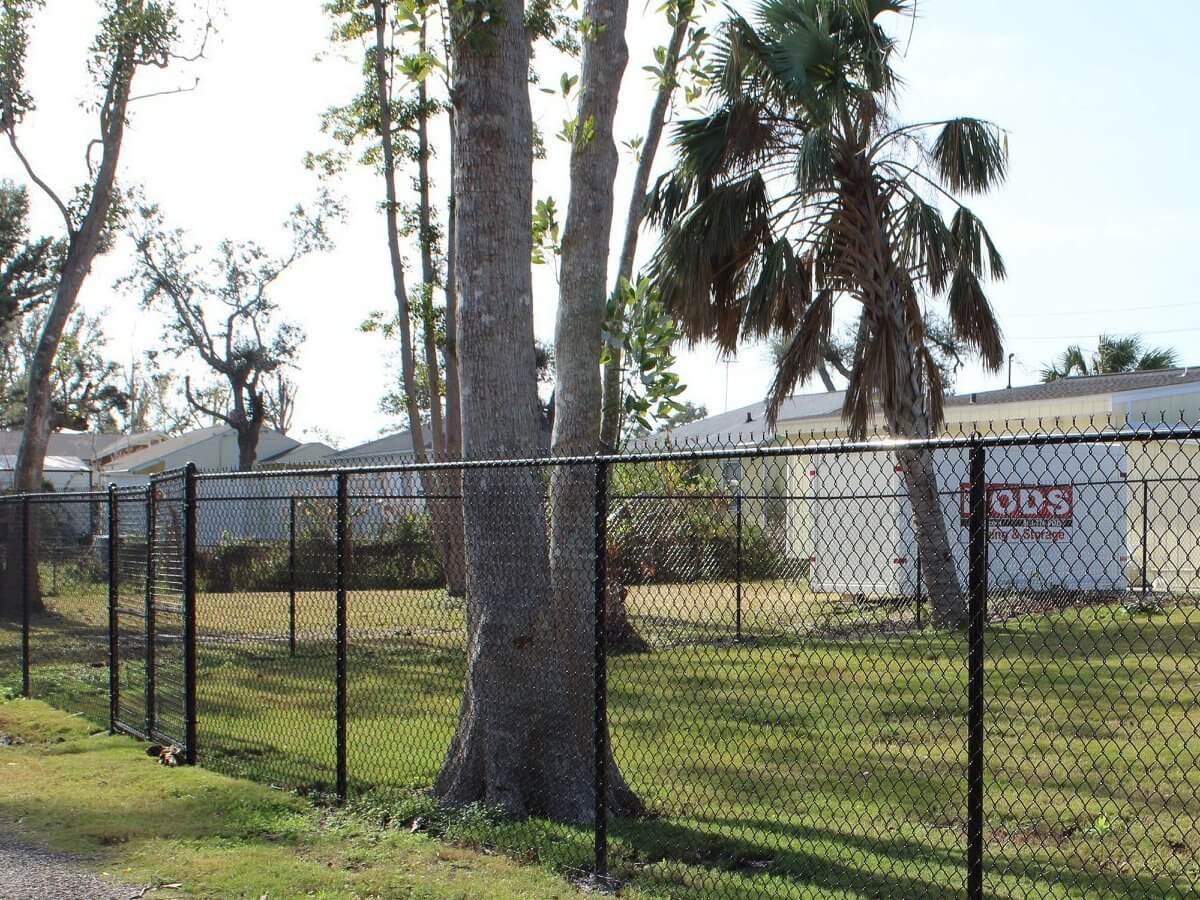 Black chain link fence in a wooded backyard