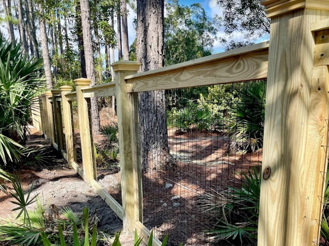 Rustic wood post-and-rail fence with wire mesh infill set among pine trees